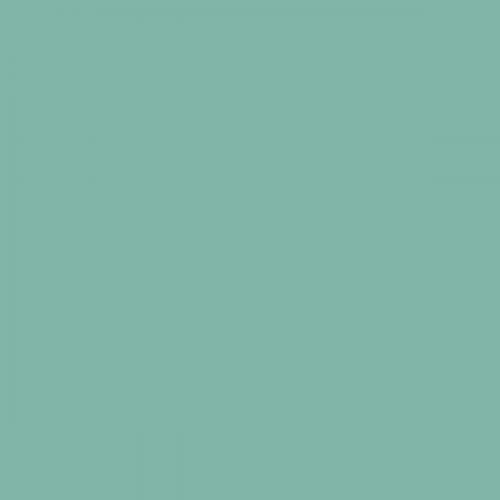 RAL 180 70 20 Mint bonbon green Aerosol Spray Paint 1K/2K 400ml