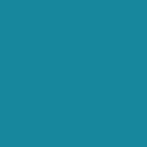 RAL 220 50 40  Spray Paint