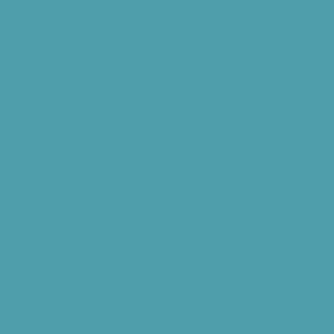 RAL 220 60 25
Spray Paint