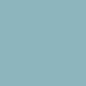 RAL 220 70 15
Spray Paint