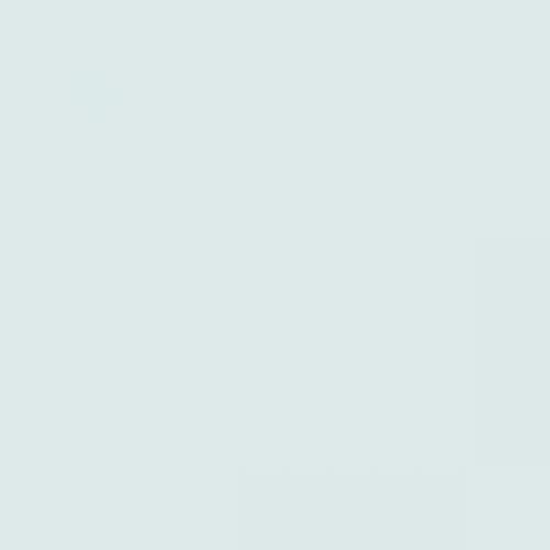 RAL 220 92 05  Spray Paint