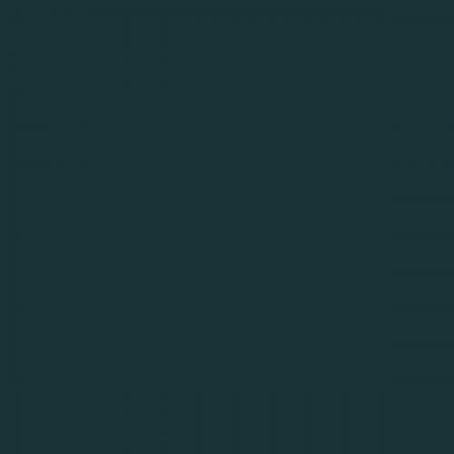 RAL 230 20 10  Spray Paint