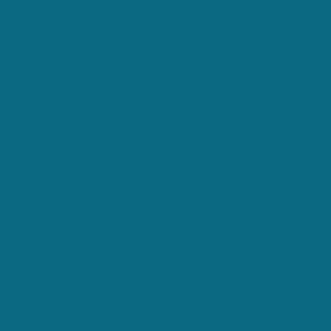 RAL 230 40 30  Spray Paint