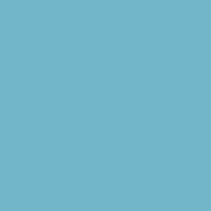 RAL 230 70 25  Spray Paint
