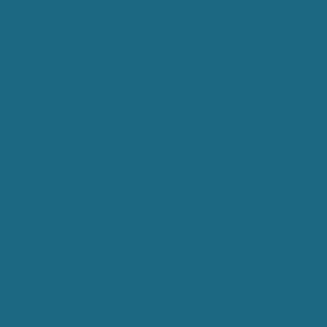 RAL 240 40 25
Spray Paint