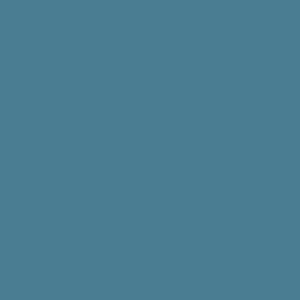 RAL 240 50 20  Spray Paint