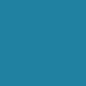 RAL 240 50 30
Spray Paint