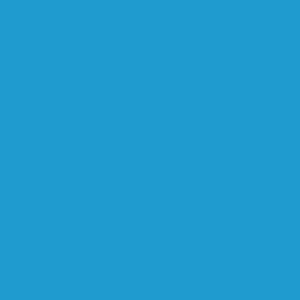 RAL 250 60 40
Spray Paint