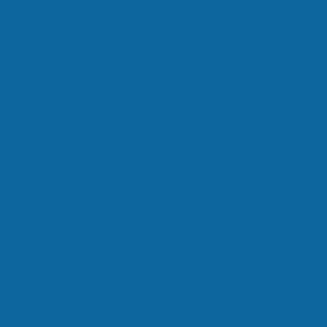 RAL 260 40 40  Spray Paint