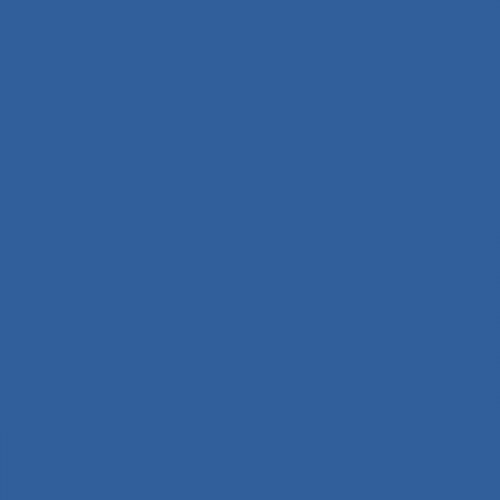 RAL 280 40 40  Spray Paint