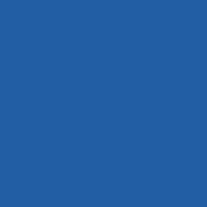 RAL 280 40 45
Spray Paint