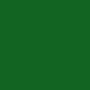 British Standards BS4800 14-E-56 Green Aerosol Spray Paint