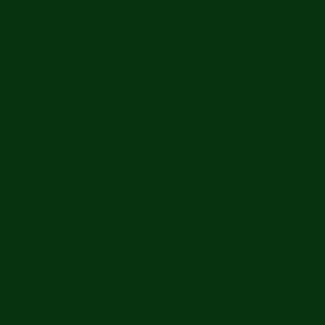 British Standards BS4800 14-E-58 Green Aerosol Spray Paint