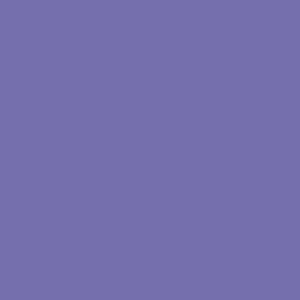 RAL 300 50 40  Spray Paint