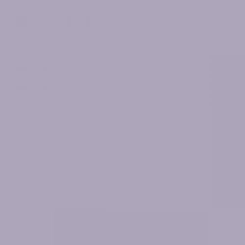 RAL 300 70 10  Spray Paint