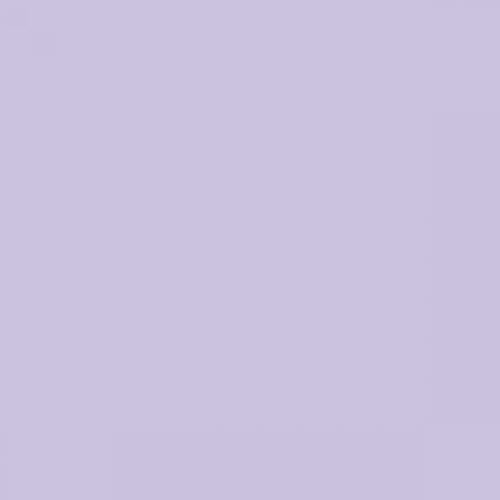 RAL 300 80 15  Spray Paint