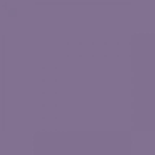 RAL 310 50 20  Spray Paint