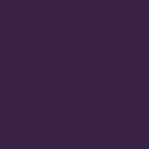 Dark purple Aerosol - Premium Custom Filled Aerosols