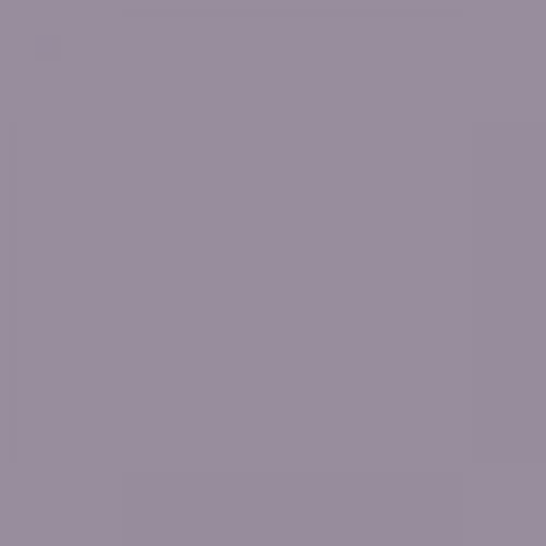 RAL 320 60 10  Spray Paint