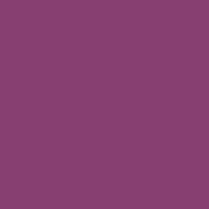 RAL 340 40 40  Spray Paint