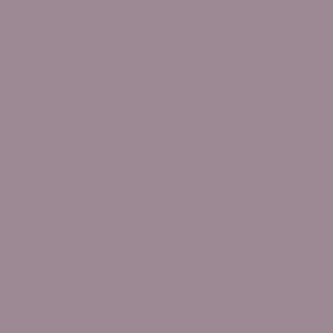 RAL 340 60 10
Spray Paint