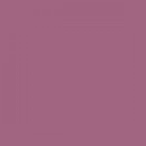 RAL 350 50 30  Aerosol