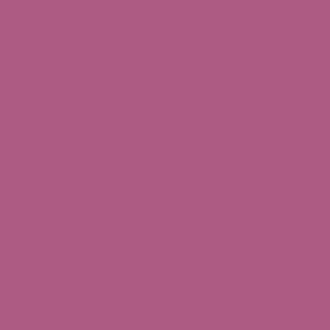 RAL 350 50 40  Spray Paint