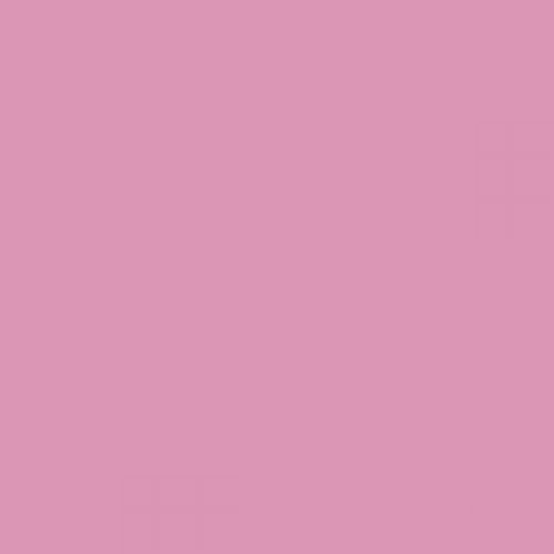 RAL 350 70 30  Spray Paint